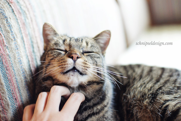 weihnachten-filou-schnipseldesign