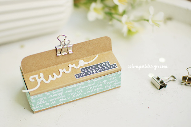 stampin-up-snackbox-karton-designerpapier-minzmakrone-grussworte-silhouettenspruche-schnipseldesign-osterreich-1