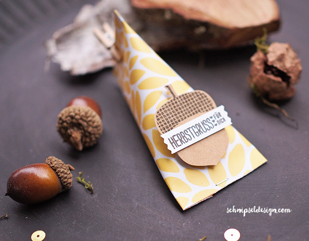 stampin-up-herbstgruesse-elementstanze-eichel-papier-am-waldrand-sour-cream-container-schnipseldesign-osterreich-1