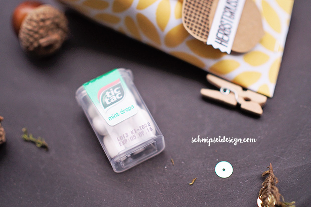 stampin-up-herbstgruesse-elementstanze-eichel-papier-am-waldrand-sour-cream-container-schnipseldesign-osterreich-4