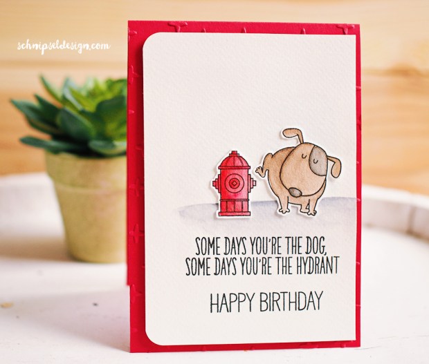 stampin-up-funkelsterne-my-favorite-things-you-make-my-tail-wag-geburtstag-lustig-schnipseldesign-oesterreich