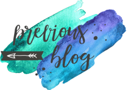 dt-dream-theme-previous2